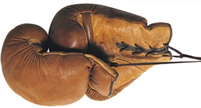 Shell Cordovan vs Cordovan Leather Shell Cordovan vs Cordovan Leather